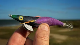Food chain fishing challenge.  I started with this purple freaky lure!