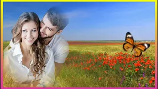 НЕ МОГУ УЙТИ В ЛЕТО НА РАССВЕТЕ 🌺🌼🌺 ДМИТРИЙ КОРОЛЁВ 🎤🎶