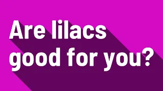 Are lilacs good for you?