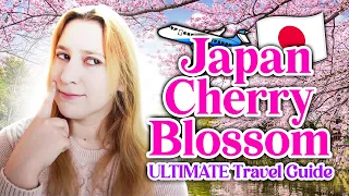 How to See Cherry Blossoms in Japan 🌸 |  MUST-KNOW Tips, Advice from a Local