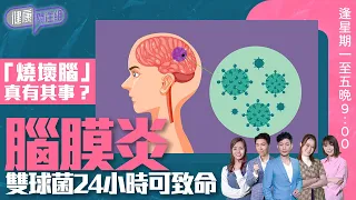 健康關注組｜「燒壞腦」真有其事？腦膜炎雙球菌24小時可致命！｜ HOY TV 77台 ｜ 郭田葰 ｜ 黃芳雯 ｜林曉蕙｜第55集