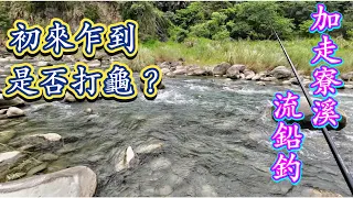 竹山釣魚研技-學長指派任務探查菜園魚情！釣到一半我的魚網竟然⋯⋯⋯