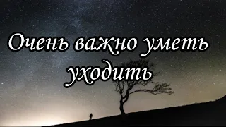 Очень важно уметь уходить... Читает: Советов.К #поэзия #стихи #стих #poetry