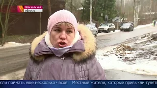 В частном зверинце в Подмосковье на человека напала пантера