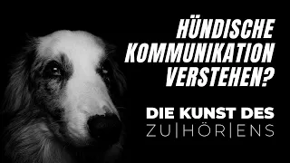 Darum geht es in der Kommunikation mit eurem Hund.