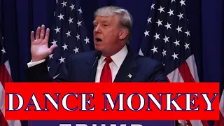 DANCE MONKEY - TONES AND I (Donald Trump Cover)