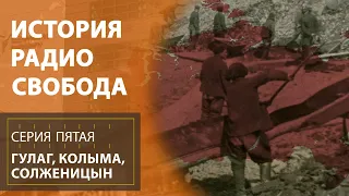 "Будь проклята ты, Колыма!" | История Радио Свобода | Эпизод 5