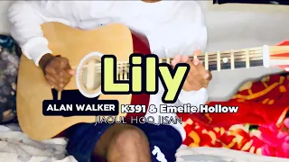 Lily - Alan Walker || K-391 & Emelie Hollow || Acoustic Cover