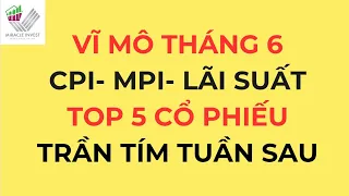 VĨ MÔ THÁNG 6- THẾ GIỚI PHÂN HÓA |TOP 5 CỔ PHIẾU TÍM TUẦN SAU TÍM|KIẾM TIỀN BỀN VỮNG