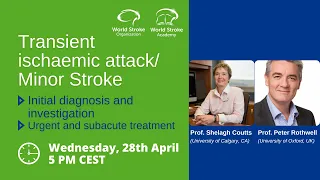 World Stroke Organization Webinar: TIA and Minor Stroke