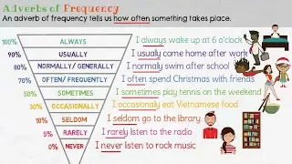 Adverbs of Frequency in English | Grammar Lesson