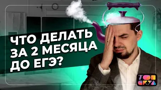 Что делать за 2 месяца до ЕГЭ? План подготовки | ЕГЭ по Истории и Обществознанию 2022