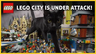 What Happens When A Cat ATTACKS The Lego City