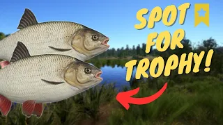 IDE SPOT IN MOSQUITO LAKE FOR CLOSING TROPHY! #909 Russian fishing 4