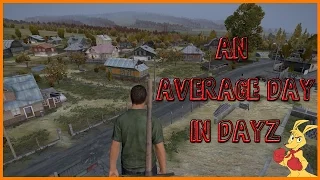 An Average Day In DayZ.