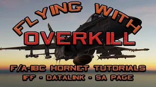 Flying DCS World With OverKill: F/A-18C Hornet: IFF - Datalink - SA Page