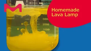 Homemade Lava Lamp at Home STEM Experiment
