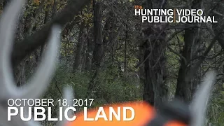 Public Land Day 18: Ground Encounter With a Decoy | The Hunting Public