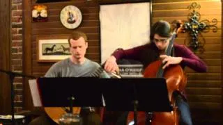 The Swan - Heartland Cello/Guitar Duo