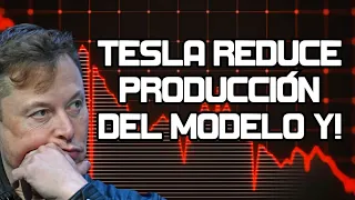 Tesla Recorta Producción del Modelo Y! Mercados se Mantienen en Verdecito