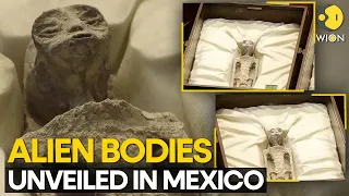 UFO Hearing Live: What’s the truth about alien bodies displayed in Mexico? UAP Hearing Mexico Live