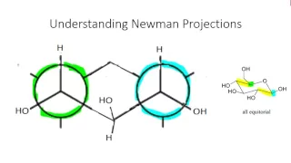 Org Chem: Quick reference on cyclohexane newman projections