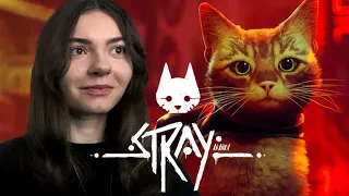 Проходження Stray | ГРА РОКУ #1