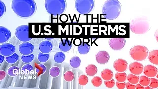 U.S. midterm elections: How do they work?