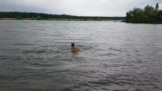 Чау-чау Персей плавает в водохранилище