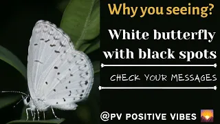 white butterfly with black spots meanings 🦋@PVPositiveVibes1111 ▦ check your messages 2023▦