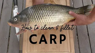 HOW TO CLEAN AND FILLET THE CARP * PART1 #carp #howtocleanfish #fishfillet