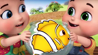 मछ्ली जल की रानी है (Machli Jal Ki Rani Hai) - Hindi Rhymes For Children - Jugnu Kids