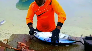 BLUEFIN TUNA FISH CUTTING SKILLS | Fish Cutting Videos