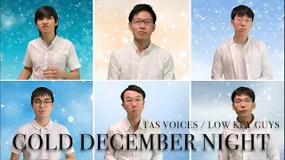 Cold December Night (Michael Bublé) - TAS Voices / Low Key Guys