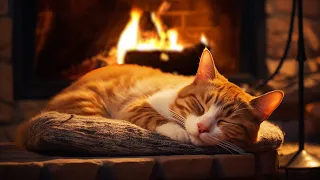 Relaxing To Purring Cat And Cozy Fireplace for Peaceful Night 🔥 Deep Sleep, Relax, Study