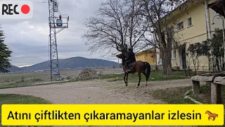 Acemi biniciler atı araziye çıkartmakta neden zorlanır? 🐎