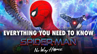 Everything You NEED to Know Before Watching Spider-Man: No Way Home