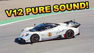 SCREAMING V12! Pagani Huayra R Track Flyby, Downshift, Revving & Cold Start Exhaust Sound!