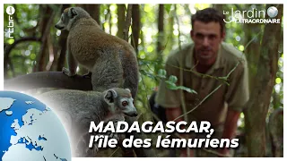 Madagascar, l'île des lémuriens - Le Jardin Extraordinaire