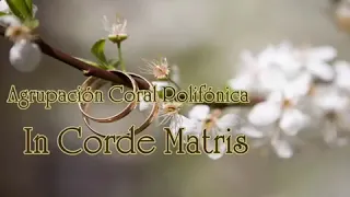 Ave María - Schubert - Coro IN CORDE MATRIS