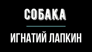 Воскресные занятия в Потеряевке по теме: СОБАКА.  Игнатий Лапкин