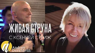 Андрей Державин и группа Сталкер #live в программе "Живая струна"