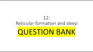 HKBB101 | P12 | Reticular formation and sleep