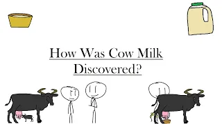 How Was Cow Milk Discovered?