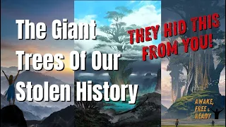 The Giant Trees Of Our Stolen History