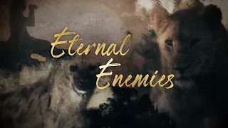 Eternal Enemies - Trailer - Wildlife Films - National Geographic