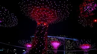 Шоу супер деревьев в Сингапуре 2020
