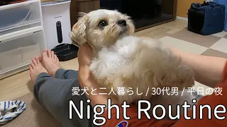 #29 【ナイトルーティン】犬と暮らす30代男の平日の夜