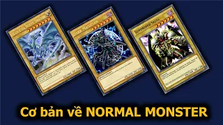 Dân Pro Yugioh nhất định phải biết những cái này của Normal Monster | M2DA