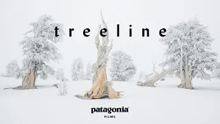 Treeline Trailer